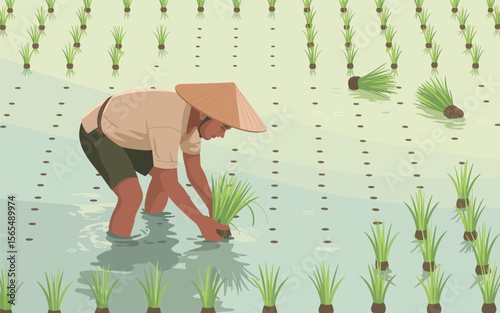 Rice Farmer Planting Rice Seedlings in Paddy Field A Minimalist Illustration