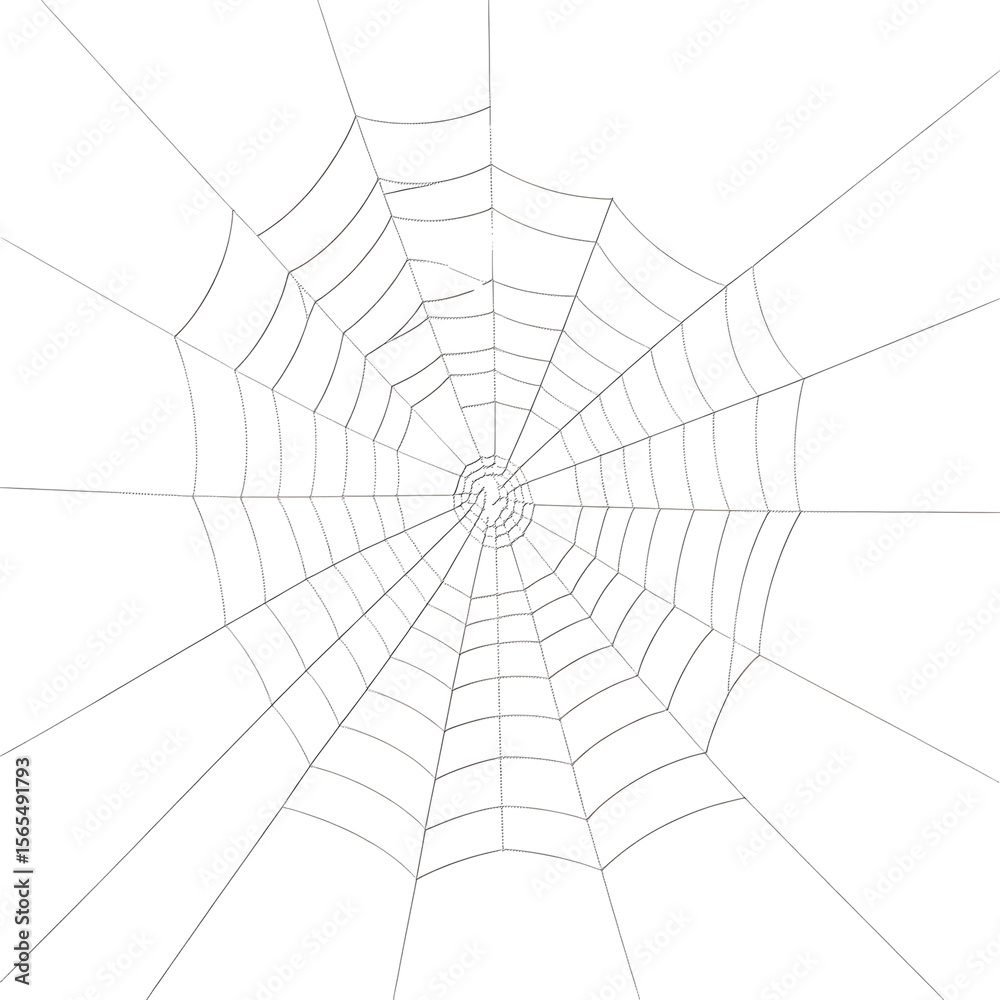 Obraz premium spider web transparent background png