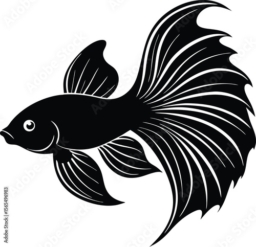 Ornamental Black Siamese Fighting Fish Illustration: A sleek, stylized illustration showcases the elegant silhouette of a Siamese fighting fish.