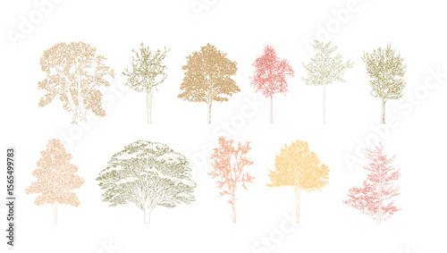 Architectural Drawings, Minimal style cad tree autumn line drawing, Side view, set of section wetland forest outline for landscape design drawing. Vector illustration in separate element