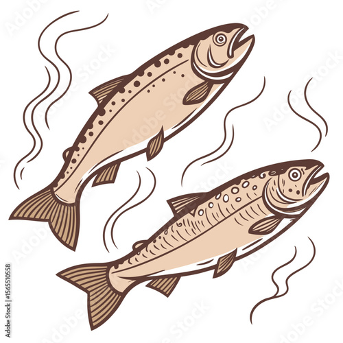 Two salmon fish swimming aquatic seafood