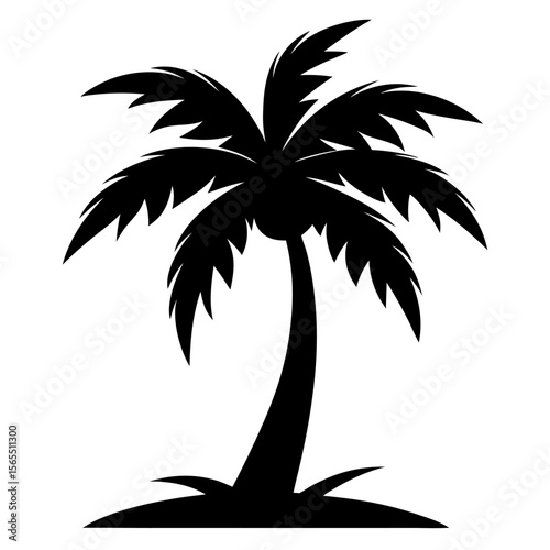 Coconut tree  Silhouette Vector