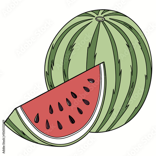 Green striped watermelon with a slice fruit food