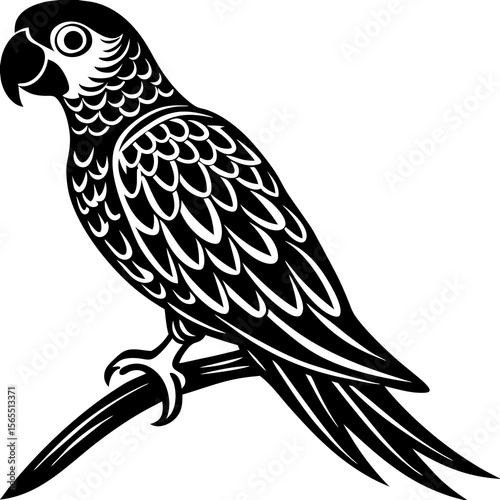 vector illustration of an owl shilhoutte on white background