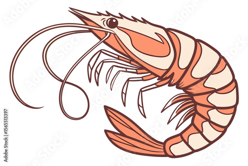 vector illustration of shrimp