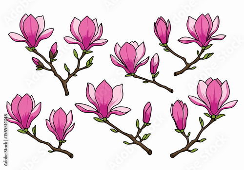 A set of pink magnolia flowers and buds on branches, hand-drawn botanical illustration elements isolated on white.