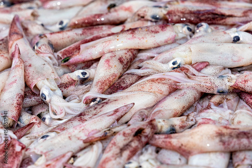 The fish market of Matara in Sri Lanka