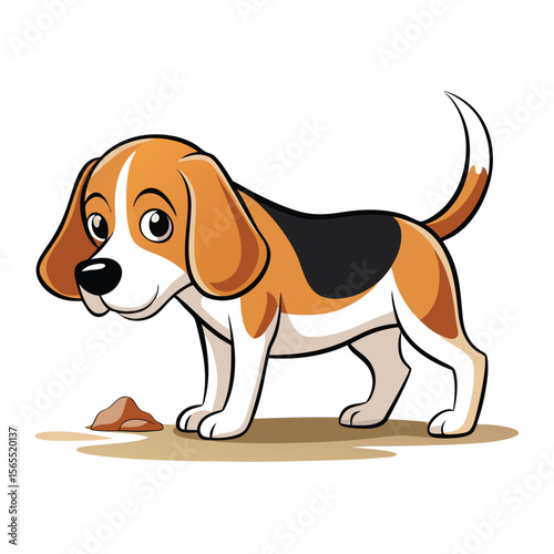 A friendly beagle dog sniffing the ground intently on a plain background, showcasing its curious and eager nature