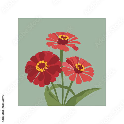 Flat Vector of Three Vibrant Red Zinnia Flowers