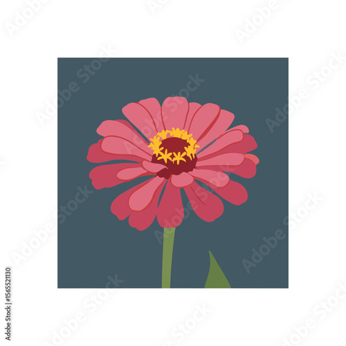 Flat Vector of Pink Zinnia Flower Illustration