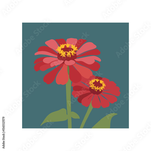 Flat Vector of Two red zinnias in bloom against a teal backdrop
