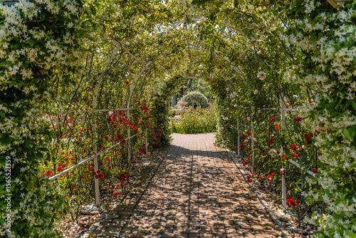 An arch of flowers and roses in a green blooming garden