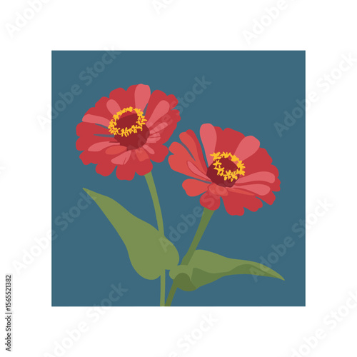 Flat Vector of Vibrant Red Zinnia Flowers in Bloom