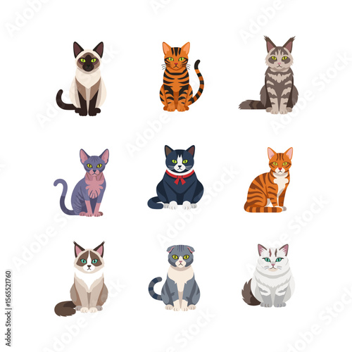 Flat Vector of Collection of Various Cat Breeds