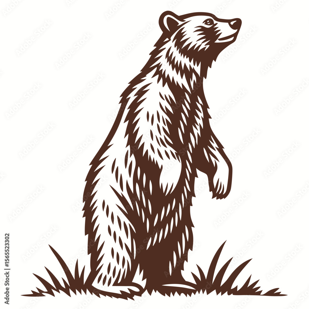 Fototapeta premium Brown Bear Standing Upward Illustration animal wildlife