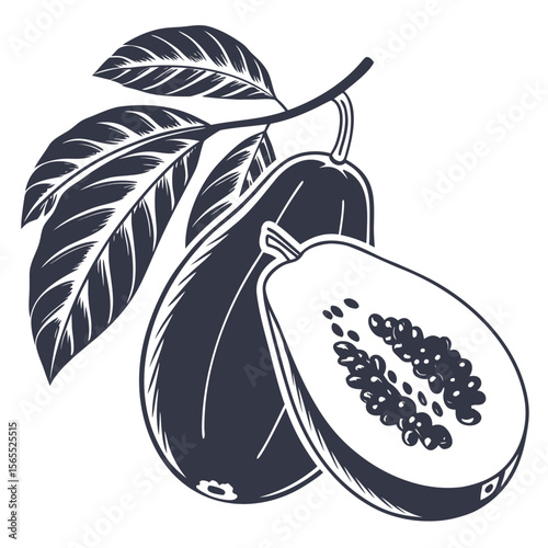 vector illustration of guava