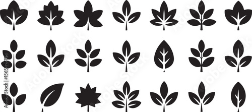 Collection of Twenty Four Black Silhouettes of Various Leaf Shapes and Arrangements Isolated on White Background Simple Botanical Vector Icons Set for