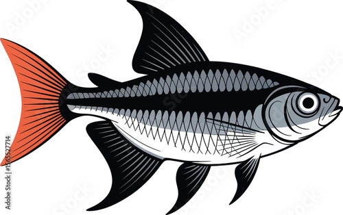 Tropical Fish Illustration – Black and Red Tail Aquarium Design