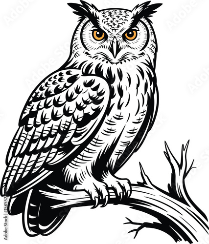 Hand-Drawn Owl Illustration on Branch – Black and White Vintage Style