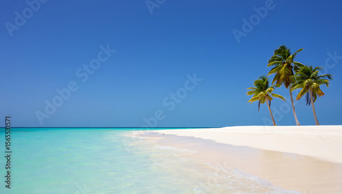 Tropical beach with clear turquoise water and palm trees ocean blue