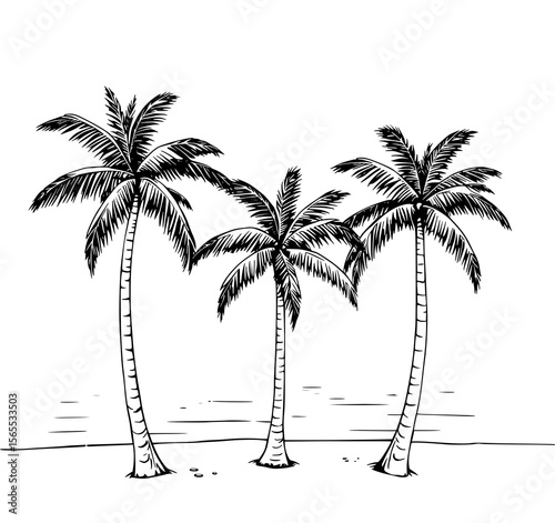 Tropical Palm Trio: A serene black and white line art illustration showcases three palm trees on a beach, their fronds gently swaying against a calm ocean backdrop.