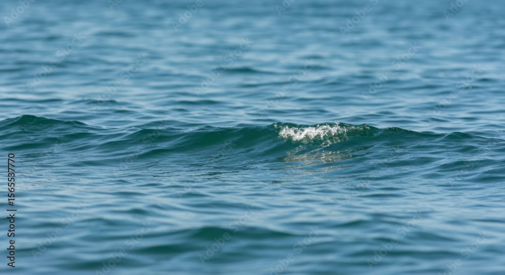 Fototapeta premium Calm ocean waves gently rolling
