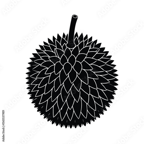 durian.eps