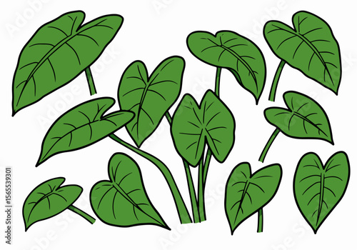 Cartoon illustration of vibrant green tropical leaves, resembling taro or alocasia plants, against a white background.