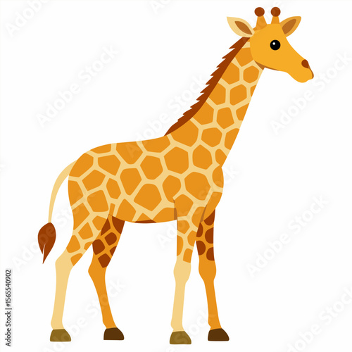 Cute zebra cartoon animal character