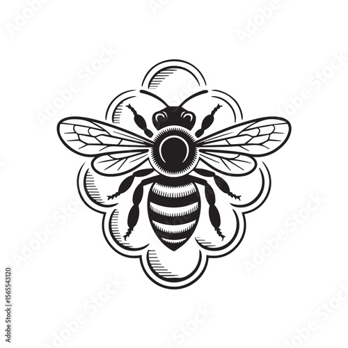 A detailed black and white illustration of a bee on a flower, isolated on white background