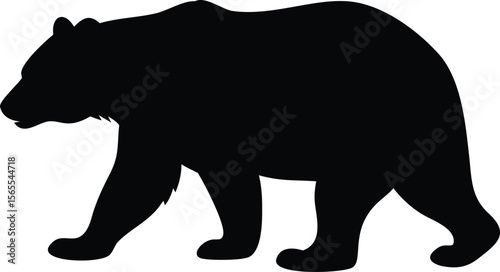 A detailed black silhouette of a walking bear against a white background silhouette