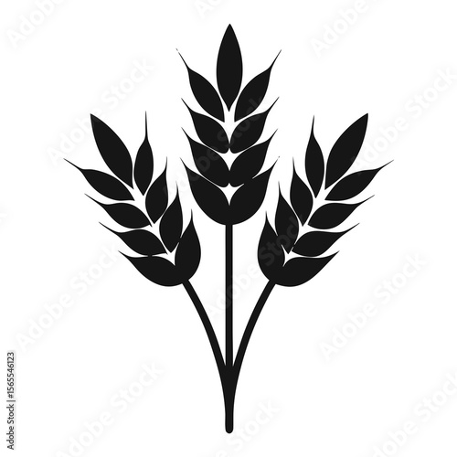 Silhouette image of a bunch of wheat seeds