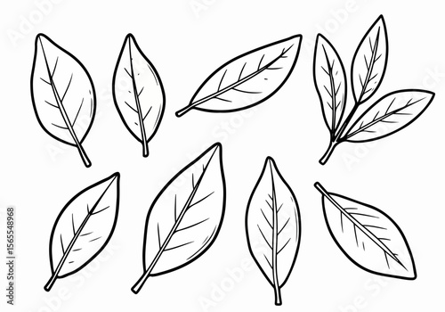 A collection of hand-drawn line art leaf illustrations, perfect for design elements, botanical studies, or creative projects on a white background.