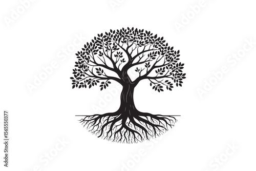 Elegant Black and White Tree Illustration with Detailed Roots and Branches