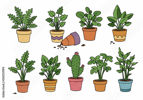 Cartoon illustration of diverse potted houseplants including a cactus, with one pot spilled over and soil scattered on a white background.