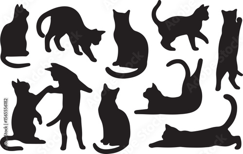 Black feline silhouettes in various poses white