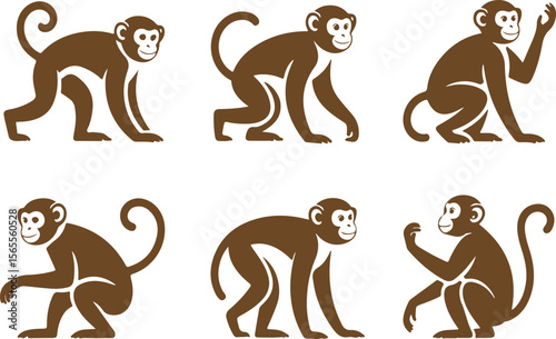 Brown monkeys in various poses on white background primate animal