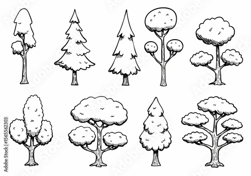 Hand drawn sketch collection of various tree types illustration