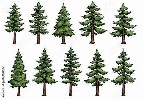 Hand-drawn vector set of various evergreen coniferous trees isolated on a white background, perfect for nature and forest-themed designs.