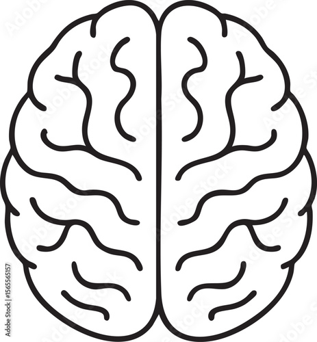 Simplified Brain Illustration A Black and White Outline of the Human Brain s Anatomy and Structure