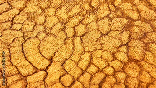 Dry cracked soil surface