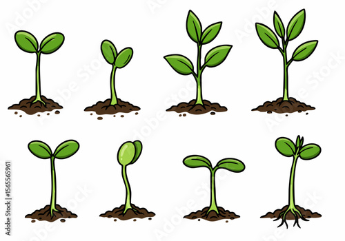 Illustration of plant growth stages, from sprout with two leaves to young plant with roots in soil, depicting the cycle of new life and development.
