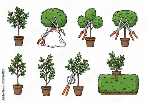Set of illustrations showing the process of pruning and shaping a potted plant into different topiary forms using garden shears.