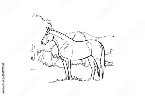 A detailed black and white line drawing of a horse standing in a field