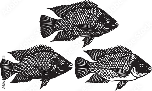 Tilapia fish icon silhouette vector illustration