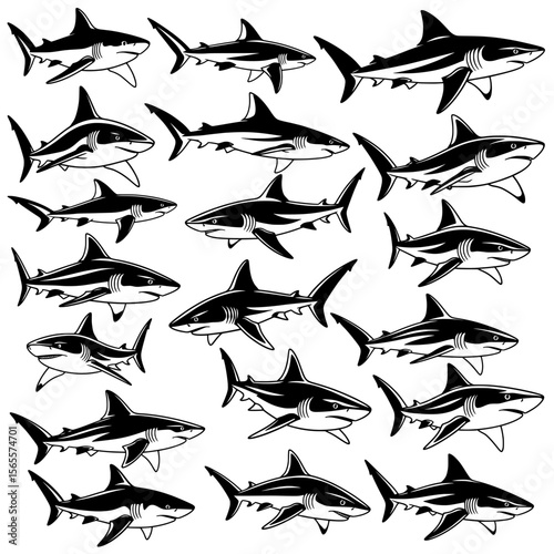 A powerful vector collection of various sharks, predominantly great whites, in diverse swimming poses. Rendered with bold black and white shading, emphasizing their formidable presence and sleek forms