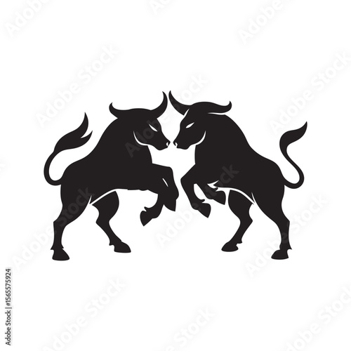 Bull Locked In Violent Fight Silhouette