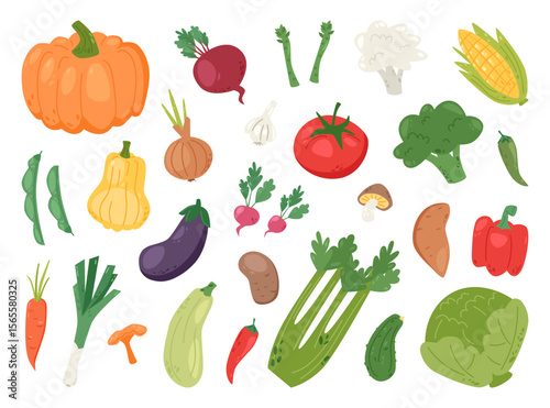 Colorful Collection of Fresh Garden Vegetables.