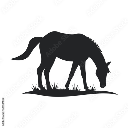Silhouette Of Horse Bending To Eat Grass