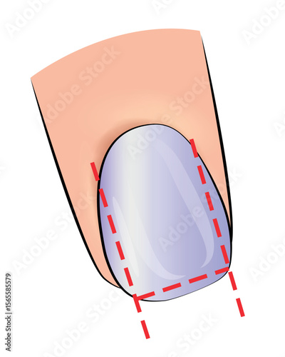 Illustration of the stages of forming a manicure nail plate for training in extensions in vector